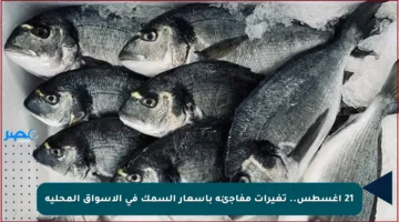 21 أغسطس.. تغيرات مفاجئة بأسعار السمك في الأسواق المحلية